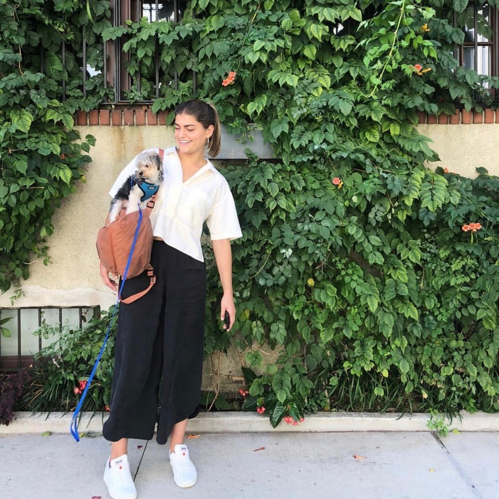 (Intro Post) - Picture 3 of 4
